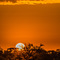 Seronera, Serengeti NP